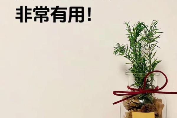 优化风水财位提升财运