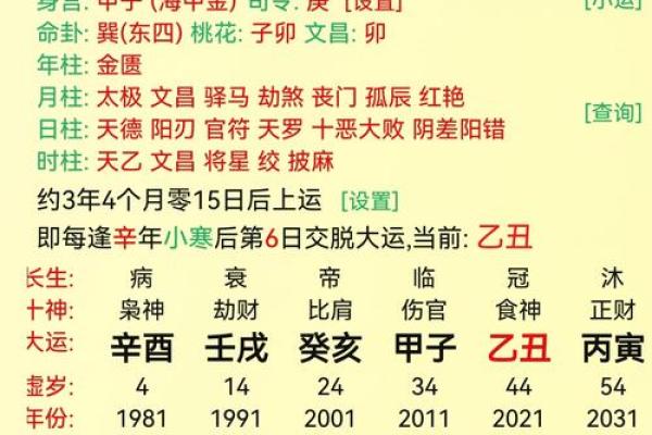 天干坐地支的象征意义与命运关系