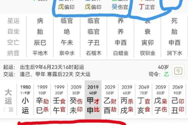 排盘分析技巧：如何精准看懂命盘