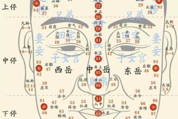 面相与性格：如何分辨刻薄与善良