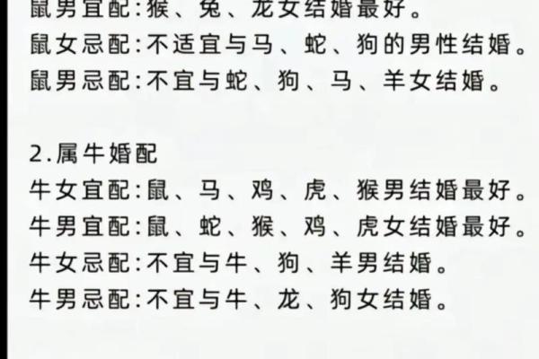从金木水火土看十二生肖的性格与运势