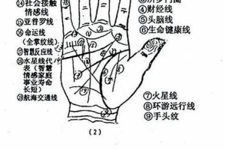 手相与迷信的关系：科学还是迷信？