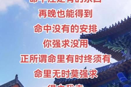 命理秘本揭示的命运之道与人生智慧