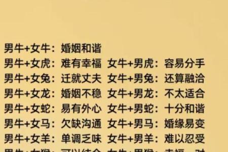 牛与虎相配，婚姻能否持久幸福