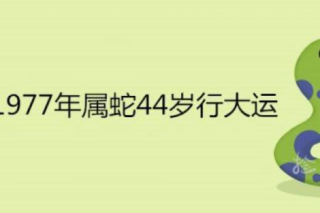 女蛇与男羊的婚姻适配性探讨