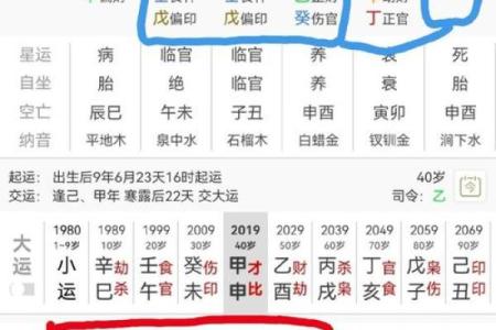 排盘分析技巧：如何精准看懂命盘