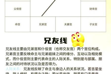 了解十二宫排盘：解锁你的星座命运密码