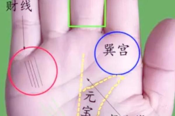探索巨富的手相秘密：两条线与财富的关联