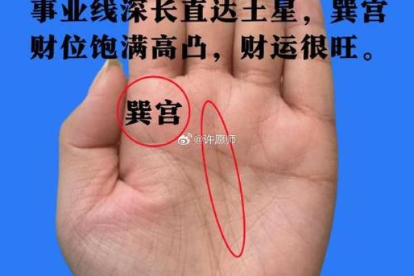 探索巨富的手相秘密：两条线与财富的关联