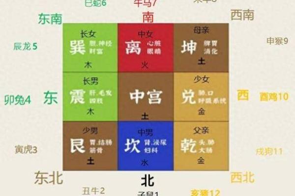 家居风水布局指南下载，助力改善家庭运势