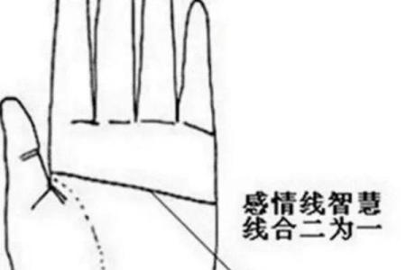 烂桃花手相解读：预防情感危机的关键