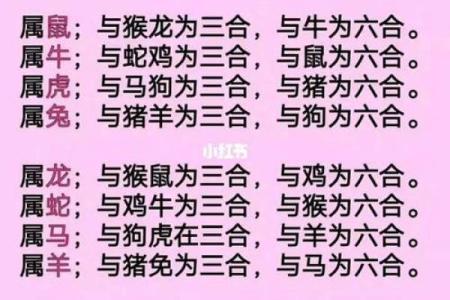 男兔女龙婚姻能否长久？从五行与生肖看两者契合度