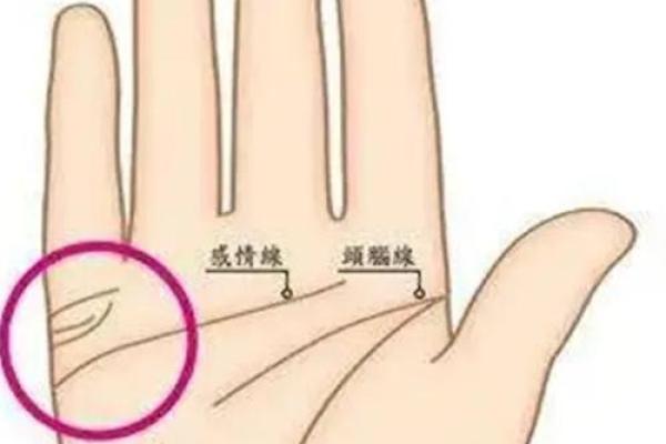 手相学揭秘：两条线预示巨富命运的奥秘