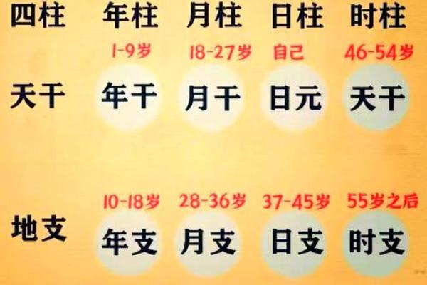 生辰八字中的八个关键要素解析