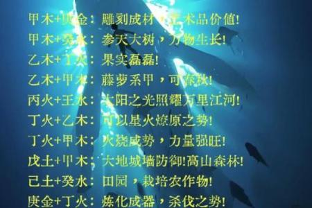 探究壬水命理的五行之力与性格特征