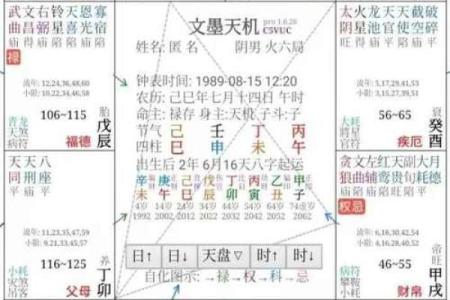 免费八字分析，探索属于你的命运轨迹