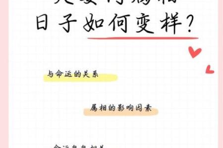 牛男猪女的婚姻：命运与性格的契合