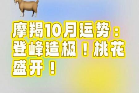 摩羯座运势解析：事业与感情的双重挑战与机遇