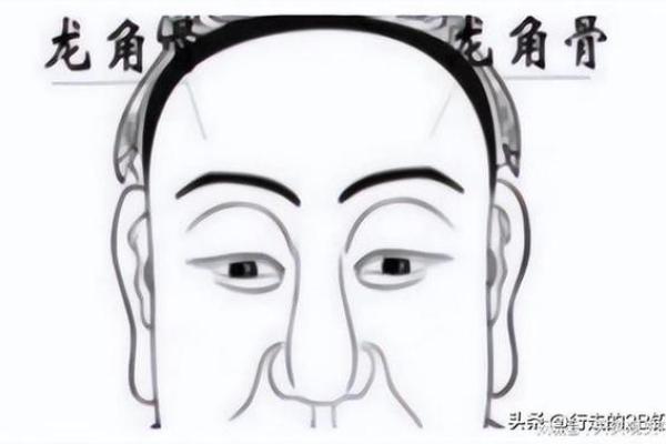 头骨面相如何影响个人运势与性格特点