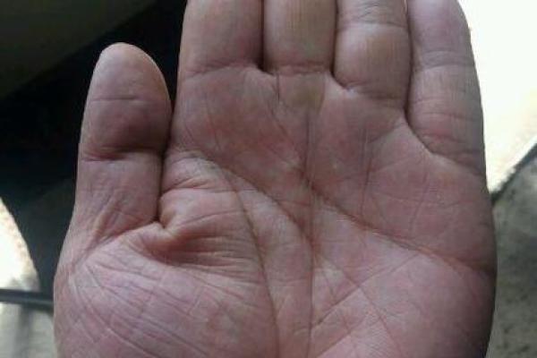 了解梯形手相的奥秘：如何解读手中的财富与性格密码