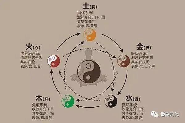 如何通过八字评分揭示人生潜力与运势趋势