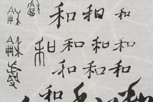 禾字五行属性解析及其相关含义