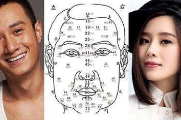 鼻头大面相解析：如何从面部特征看性格与运势