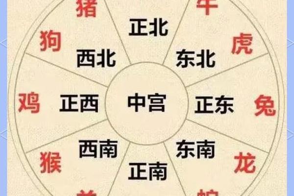 十二生肖与风水：如何通过生肖调整家居布局