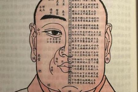 头骨面相如何影响个人运势与性格特点