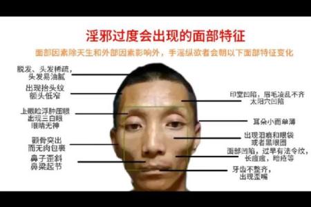 面相学：从面部特征看透人的内心世界