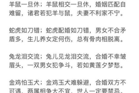 男猪女马婚姻真的和谐吗？深入探讨生肖配对的奥秘