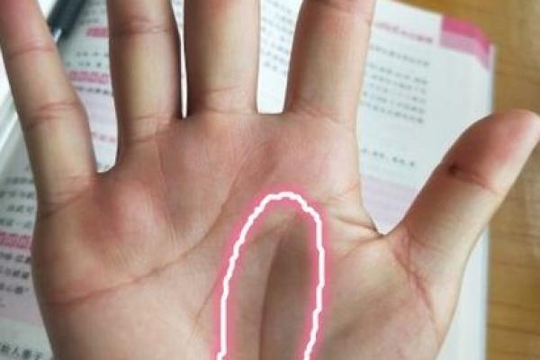 免费手相算命解析：你的生命线藏着什么秘密