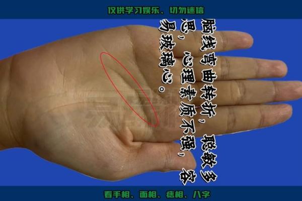 探索折手手相：折痕揭示的人生转折与运势