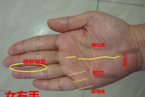 探索横纹手相女性的爱情与职业发展趋势