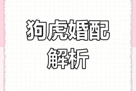 女虎男狗婚配命运如何 婚姻中的性格与冲突