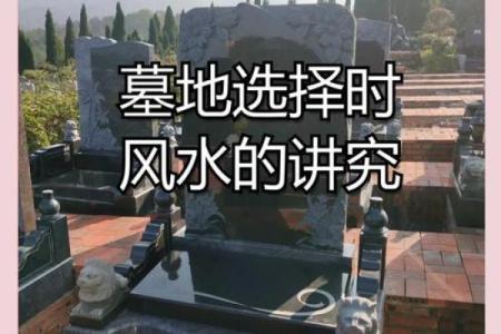 解读墓命的含义与命运走向