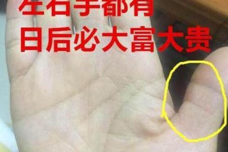 揭秘败家手相：从掌纹看财富运势