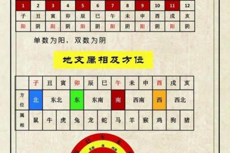 六爻排盘表的使用技巧与解读方法大全