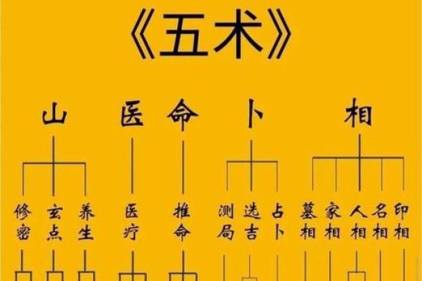 形气命理与人生轨迹的深度解析