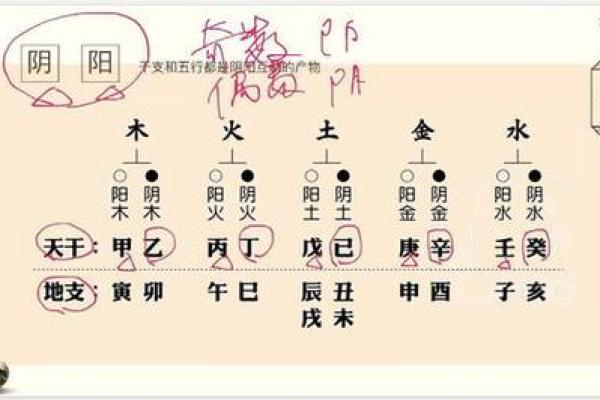 纳天干辛的天赋与克制：一探究竟
