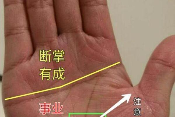 子女宫手相解析：从掌纹看孩子命运的奥秘