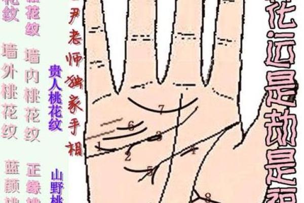 通过手相揭示生育运势，掌纹告诉你什么