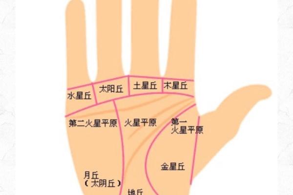 通过手相揭示生育运势，掌纹告诉你什么