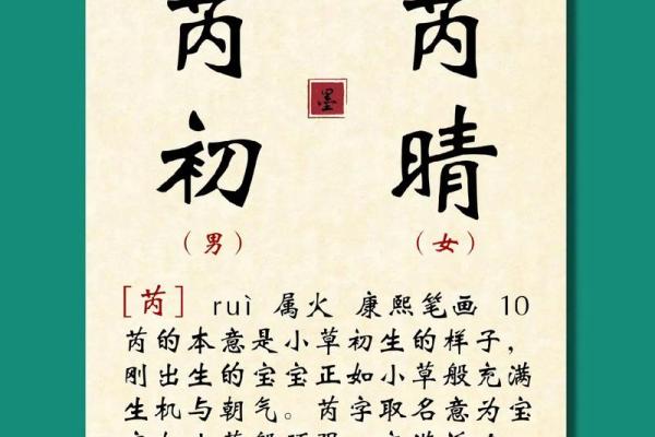 国学起名公司如何帮助孩子取一个有文化底蕴的名字