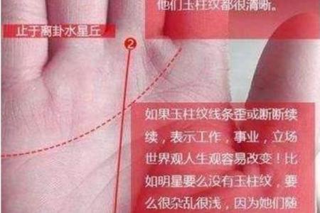 解析事业运手相：掌握成功的关键线索
