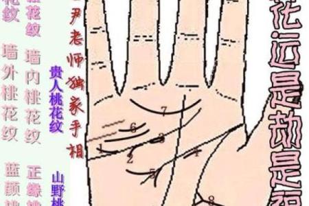 通过手相揭示生育运势，掌纹告诉你什么