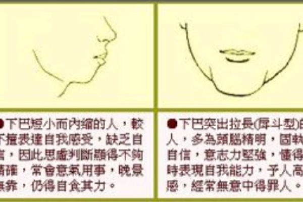 腮骨面相解析：如何通过面部特征看出性格与命运