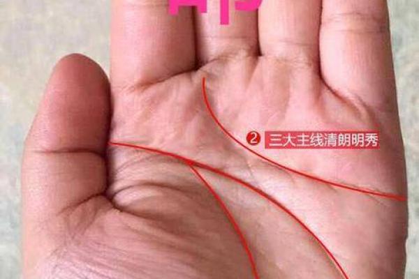 揭秘鹿晗手相中的独特符号与人生暗示