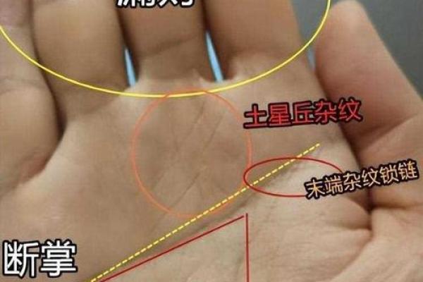 左手断掌手相解读：影响命运的关键线条