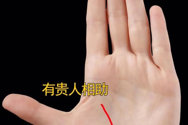 手相医学：解读掌纹背后的健康秘密